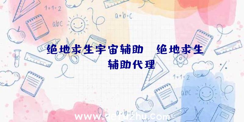 「绝地求生宇宙辅助」|绝地求生mvp辅助代理